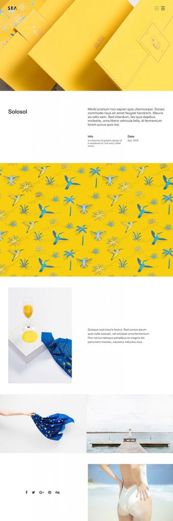 Single-project-layout-demo-fullwidth